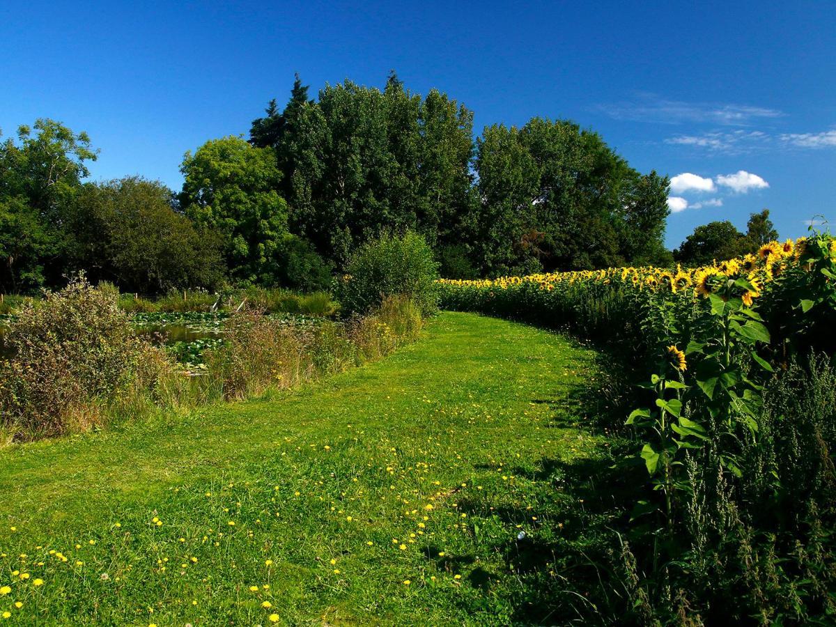Birch Lodge Newton Abbot Exteriér fotografie